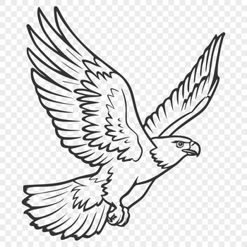 A detailed illustration of a majestic bird in mid-flight.