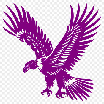 A large bird in flight, depicted as a stylized vector image.