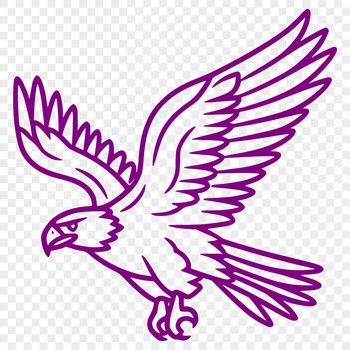 A detailed vector illustration of a flying eagle in full body view.