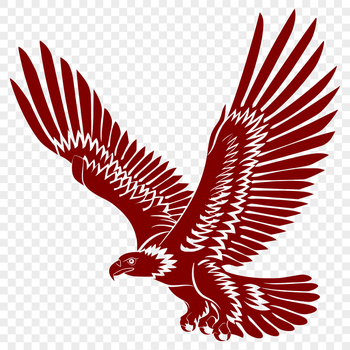 A majestic eagle in mid-flight, depicted in a detailed vector illustration.