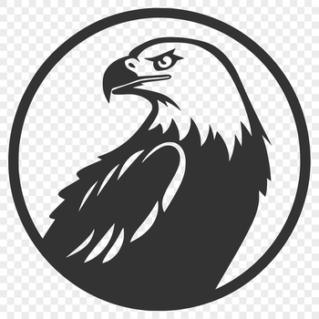 A stylized illustration of a majestic eagle's head with intricate details, suitable for use in graphic design projects.