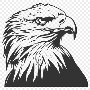 An illustration of an eagle's head with detailed feathers and sharp talons.