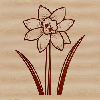 A bright yellow daffodil flower with white trumpet-shaped petals, symbolizing spring renewal.