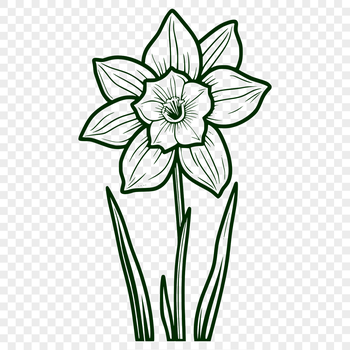 An illustrated daffodil flower with bright yellow petals and a green stem.