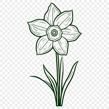 A stylized illustration of a daffodil plant, suitable for various design applications.