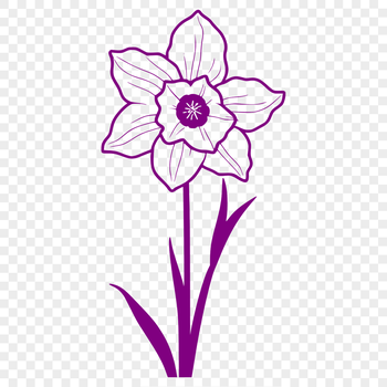 An isolated vector art representation of a single daffodil plant with trumpet-shaped blooms.