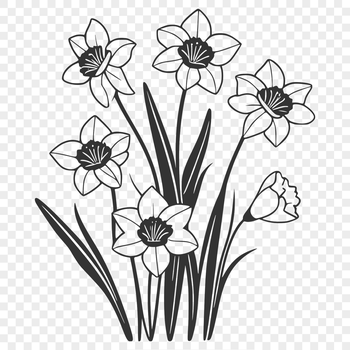 A vector illustration of a single white daffodil flower with yellow trumpet-shaped center on a green stem.