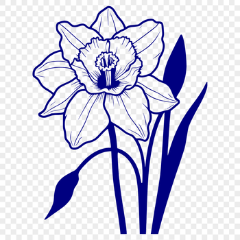Illustrative vector daffodil flower for creative projects.
