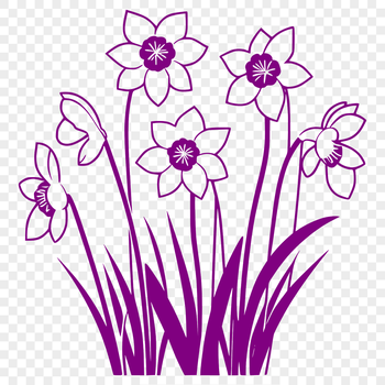 Close-up illustration of a daffodil flower with trumpet-shaped petals and yellow center