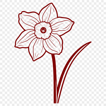 A close-up illustration of a single daffodil flower with trumpet-shaped petals and a green stem.