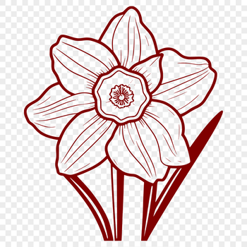 A stylized illustration of a daffodil plant with trumpet-shaped flowers.