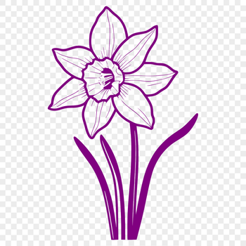 A detailed vector illustration of a daffodil flower with trumpet-shaped blooms and green stem.
