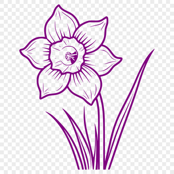 A single white daffodil flower with trumpet-shaped center and yellow petals on a green stem.