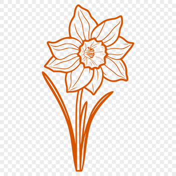 Close-up illustration of a single daffodil flower with trumpet-shaped petals.
