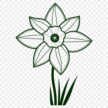 A single daffodil flower with trumpet-shaped blooms and long green stems.