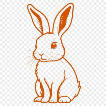 A full-body illustration of a sitting rabbit with detailed lines and curves.
