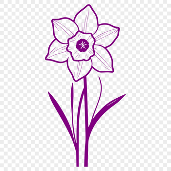 A simple illustration of a yellow daffodil flower with white trumpet-shaped center.