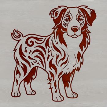 A standing Australian Shepherd dog with a distinctive coat pattern.