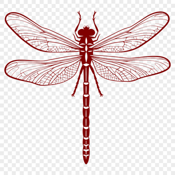 A detailed vector illustration of a dragonfly in mid-flight, suitable for digital printing and commercial use.