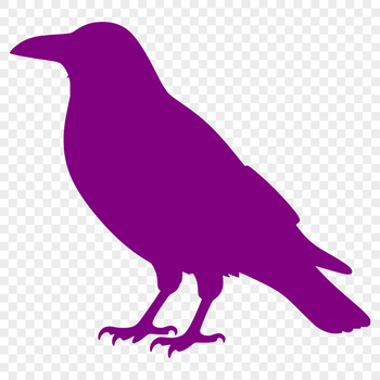 A black bird with a distinctive call and intelligence, often associated with mystery and magic.