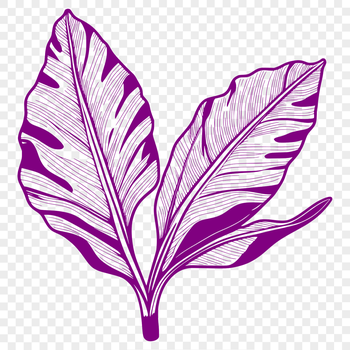 A single, detailed leaf illustration created as a vector graphic in SVG format.