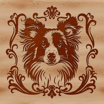 A breed-specific illustration of a Shetland Sheepdog's head, suitable for customization in various design software.