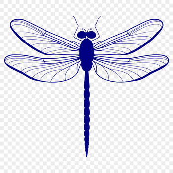 An illustration of a dragonfly in flight, rendered as vector art.