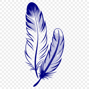 A single feather isolated on a white background, suitable for digital design projects.