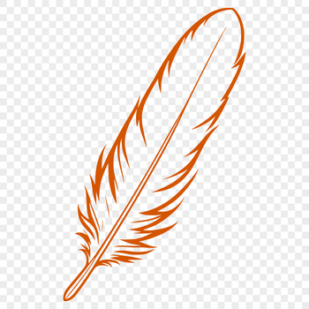 A detailed illustration of a feather with precise lines and shapes.