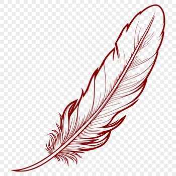 A stylized vector illustration of a feather, suitable for use in digital design projects.