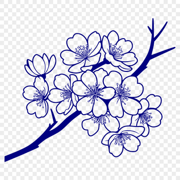 A vector illustration of a cherry blossom in full bloom, suitable for use as clip art.