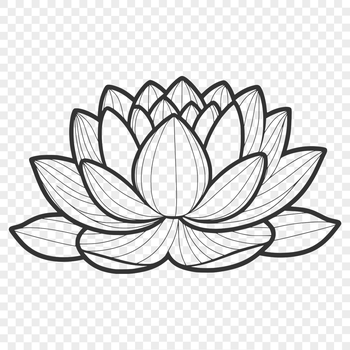A detailed graphic representation of the lotus plant, suitable for commercial or personal use as a digital asset.