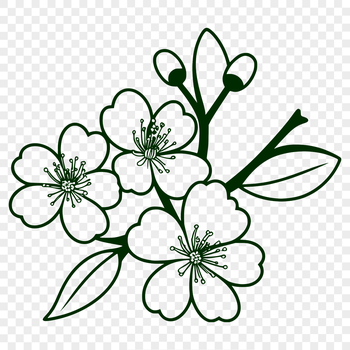 Close-up illustration of a cherry blossom plant with delicate pink petals and green leaves.