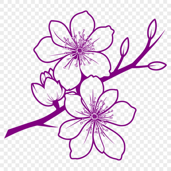 A realistic illustration of a cherry blossom tree in bloom, featuring delicate pink flowers and green leaves.