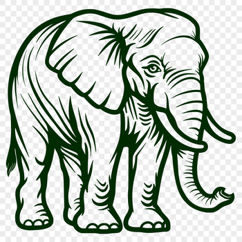 A high-quality illustration of a standing elephant from the front, shown in full body.