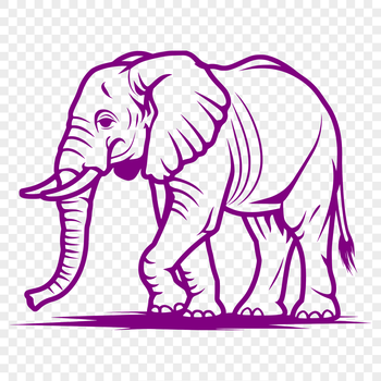 A standing African elephant in full body view, suitable for vector design and illustration.