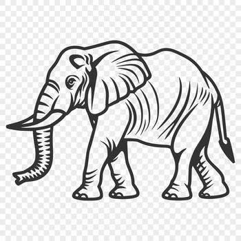 A detailed illustration of a standing elephant in full view.