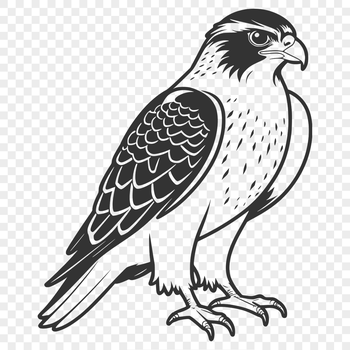An accurate digital representation of a bird of prey, specifically a falcon, rendered as a scalable svg file.