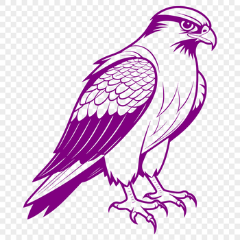 A detailed bird silhouette, specifically a falcon, ideal for graphic design projects.