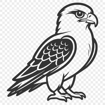 A high-quality SVG vector art image of a bird, specifically a falcon.