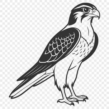Image of a falcon in mid-flight, created as a vector graphic.