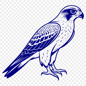 Falcon bird silhouette vector art for commercial use.