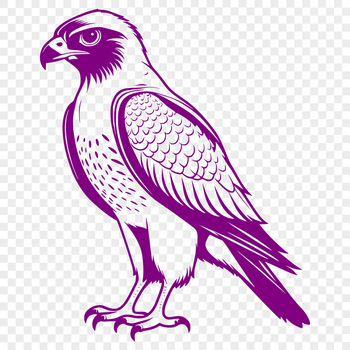 A vector illustration of a falcon in flight, suitable for commercial and personal use.