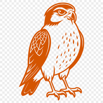 A detailed vector illustration of a falcon in flight, suitable for commercial and personal use.