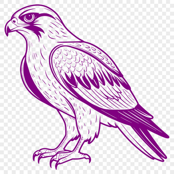 A detailed vector illustration of a falcon in mid-flight, suitable for various commercial and personal uses.