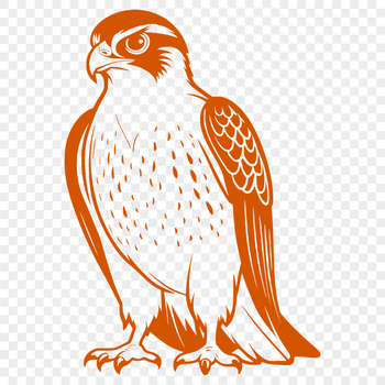 Vector illustration of a falcon bird in flight.