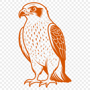 Vector illustration of a falcon bird in silhouette