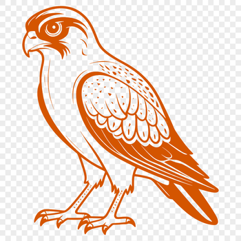 Illustrative vector graphic of a falcon in flight.