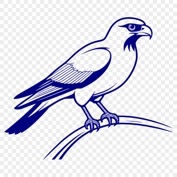 A detailed silhouette of a falcon in flight, suitable for vector art and cutting machine designs.