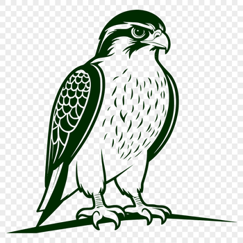 A detailed vector illustration of a bird in flight, a falcon with sharp talons and pointed wings.
